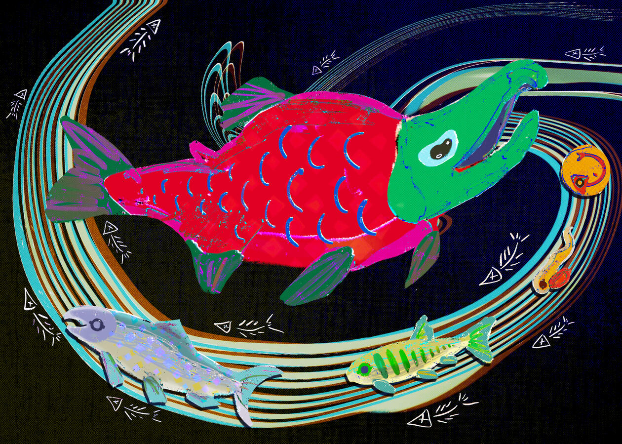 JULY 26 - SALMON