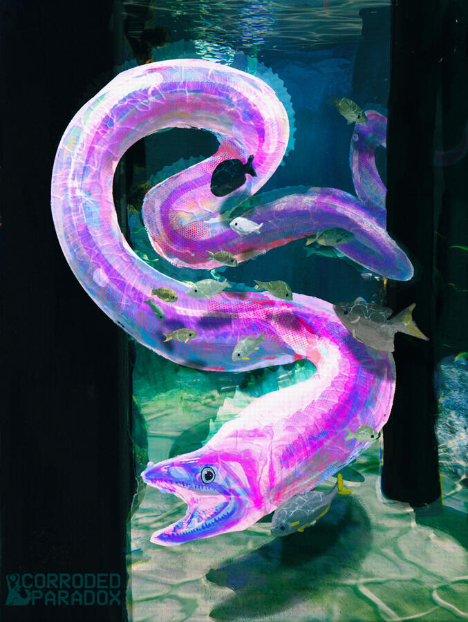 Haunted Aquarium - 2025